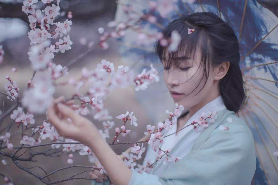 月收入千萬,網(wǎng)紅李子柒火了!背后公司注冊百余商標(biāo)!